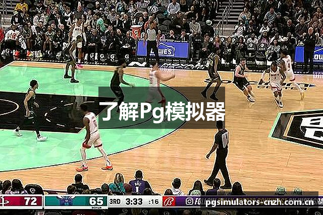 了解Pg模拟器